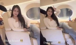 国产大乳,重塑民族乳业辉煌的崛起之路